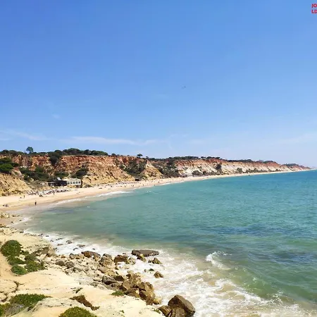 Alsol C 5365-1 아파트