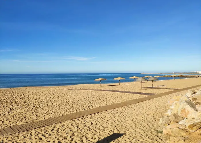 Alsol C 5365-1 * Картейра